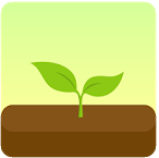forest-applications
