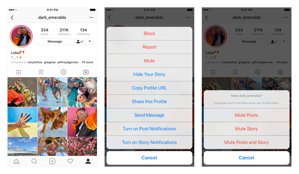 instagram-mute-applications