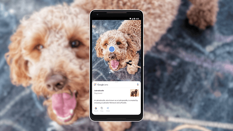 google-assistant